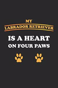 My Labrador Retriever is a heart on four paws