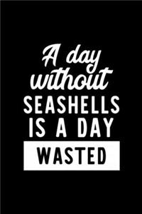 A Day Without Seashells Is A Day Wasted