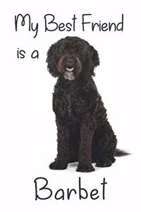 My best Friend is a Barbet