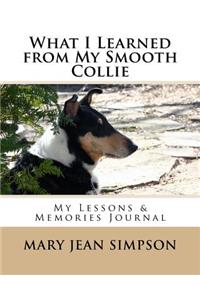What I Learned from My Smooth Collie