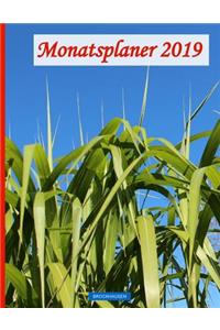 BROCKHAUSEN - Monatsplaner 2019