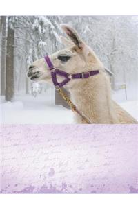 Journal