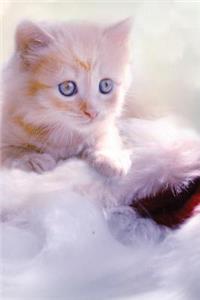 Kitty Cuddles Notebook