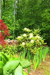 2019 Weekly Planner Pretty Summer Landscaping 134 Pages