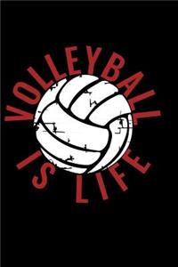 Volleyball Is Life