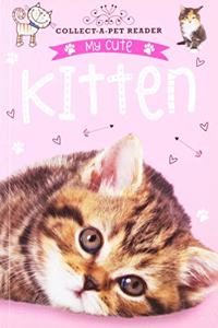 My Cute Kitten