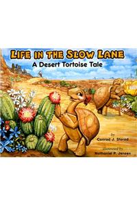 Life in the Slow Lane
