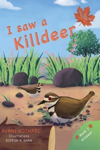 I saw a Killdeer