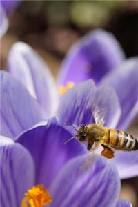 Bumblebee on a Purple Crocus Flower Garden Journal