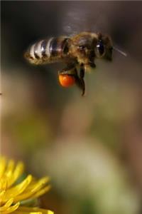Pollination Notebook