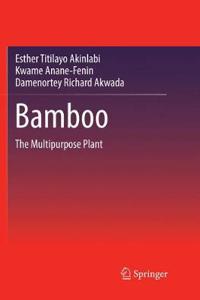 Bamboo