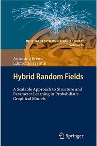Hybrid Random Fields