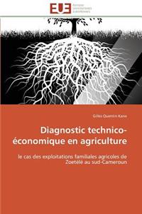 Diagnostic Technico-Économique En Agriculture