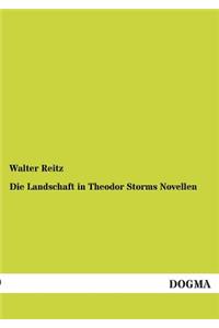 Landschaft in Theodor Storms Novellen