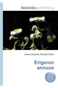 Erigeron Annuus