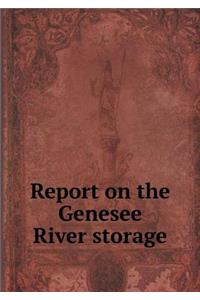 Report on the Genesee River storage