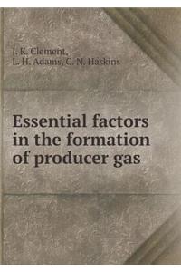 Essential Factors in the Formation of Producer Gas