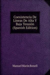 Coexistencia De Lineas De Alta Y Baja Tension (Spanish Edition)