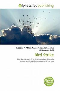 Bird Strike