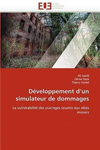 Développement d''un simulateur de dommages