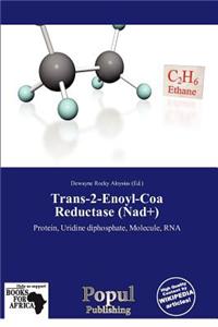 Trans-2-Enoyl-Coa Reductase (Nad+)