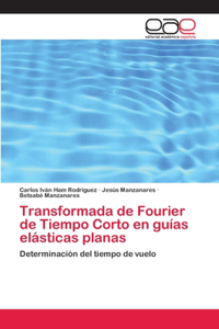Transformada de Fourier de Tiempo Corto en guías elásticas planas