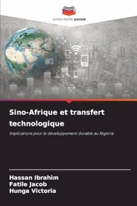 Sino-Afrique et transfert technologique