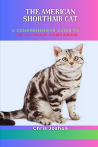 The American Shorthair Cat
