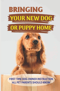 Bringing Your New Dog Or Puppy Home