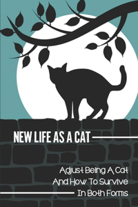 New Life As A Cat