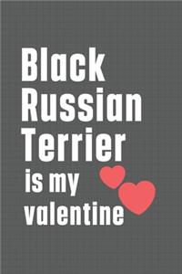 Black Russian Terrier is my valentine