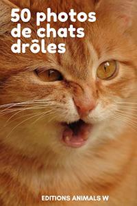 50 Photos de Chats Drôles