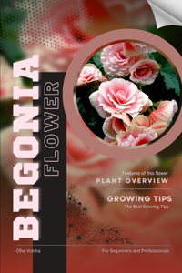 Begonia