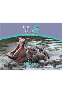 Hippo