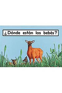 ¿Dónde Están Los Bebés? (Where Are the Babies?)