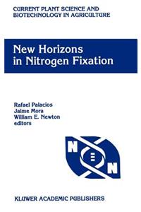New Horizons in Nitrogen Fixation