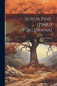 Scrub Pine. (Pinus Virginiana)