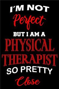 Perfect Physical Therapist