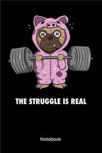 The Struggle is Real. Notebook