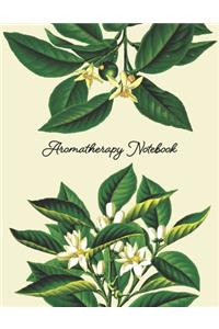 Aromatherapy Notebook