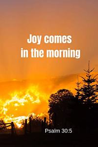 Joy comes in the morning - Psalm 30