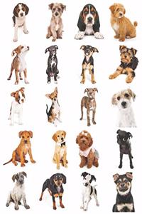 Adorable Puppies Notebook