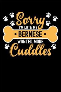 Sorry I'm Late My Bernese Wanted More Cuddles