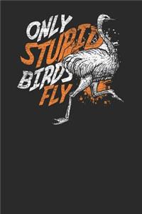 Only Stupid Birds Fly