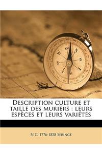 Description culture et taille des muriers