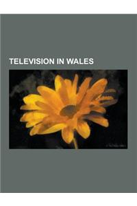 Television in Wales: S4c, Sports Television in Wales, Welsh Television Actors, Welsh Television Executives, Welsh Television Presenters, We