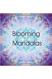 Blooming Mandalas 2017