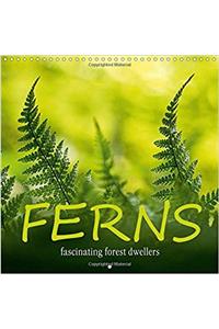 Ferns Fascinating Forest Dwellers 2017