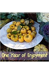 One Year of Enjoyment 2018