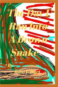 The Day I Ran Into A Brown Snake.